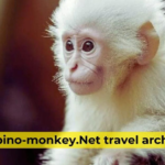 Albino-Monkey.net Travel Archives