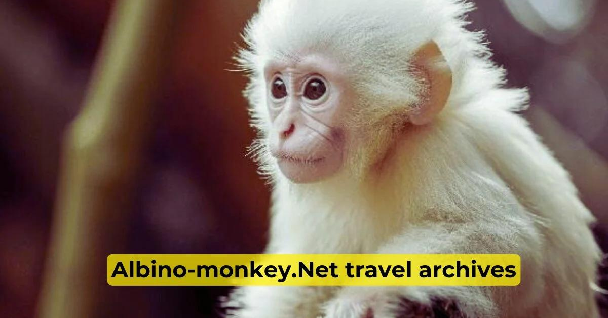 Albino-Monkey.net Travel Archives